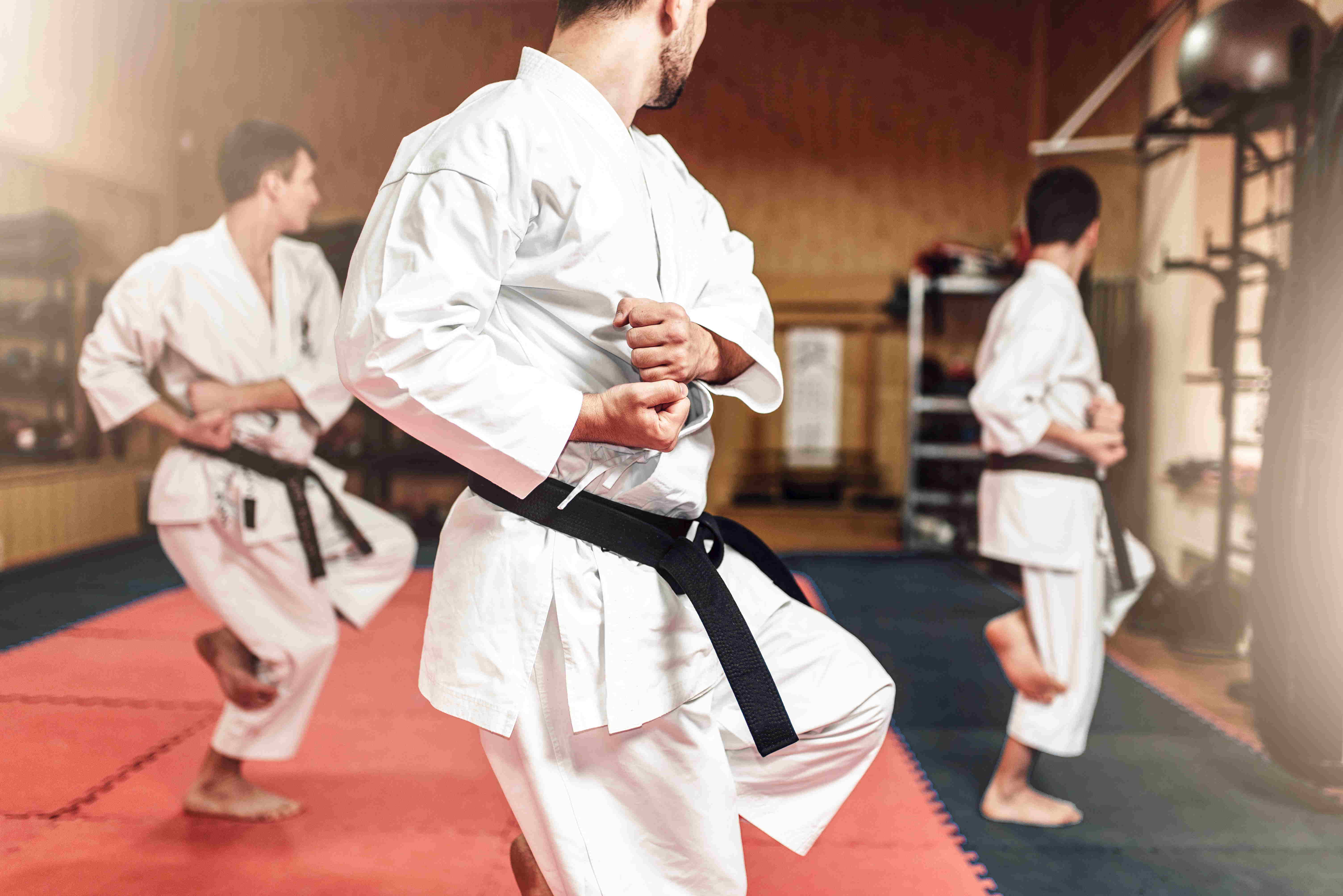 Karate – FITLIFE palestre